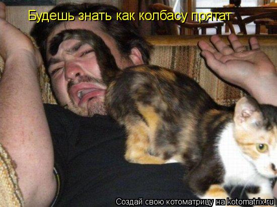 Котоматрица: Будешь знать как колбасу прятат