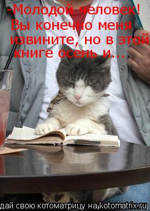 Котоматрица: -Молодой человек! -Молодой человек! Вы конечно меня извините, но в этой книге осень и...