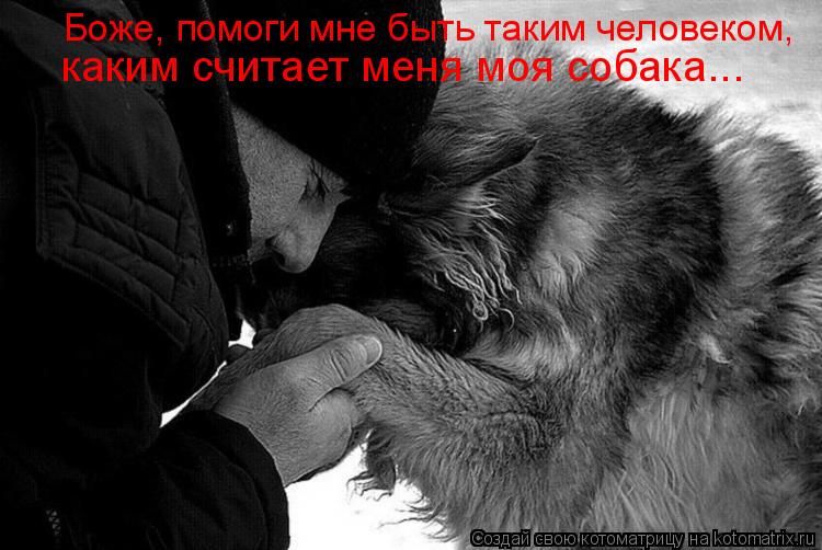 Котоматрица: Боже, помоги мне быть таким человеком,  каким считает меня моя собака...