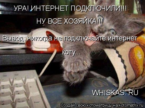 Котоматрица: УРА! ИНТЕРНЕТ ПОДКЛЮЧИЛИ!!! НУ ВСЕ ХОЗЯЙКА!!! WHISKAS. RU Вывод: никогда не подключайте интернет коту...