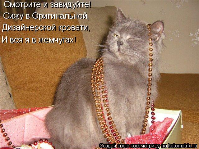 Котоматрица: Смотрите и завидуйте! Сижу в Оригинальной, Дизайнерской кровати, И вся я в жемчугах!