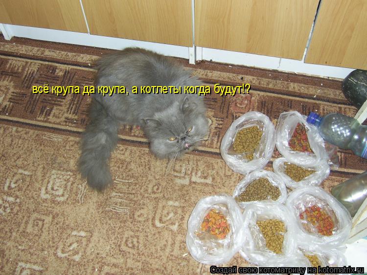Котоматрица: всё крупа да крупа, а котлеты когда будут!?
