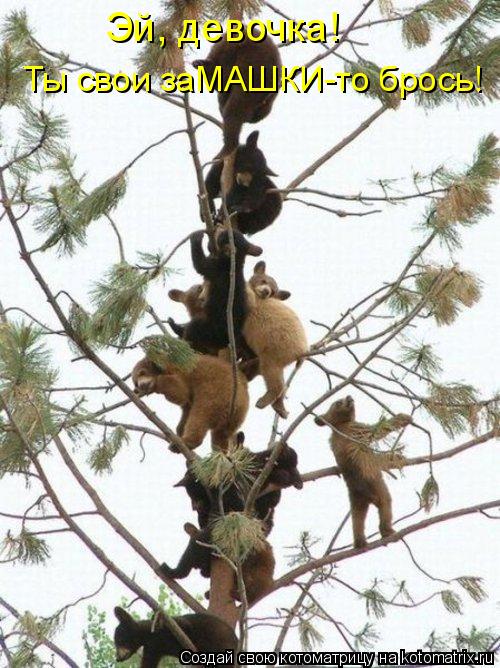 Эй, девочка! Ты свои заМАШКИ-то брось!... Котоматрица: Эй, девочка! Ты свои заМАШКИ-то брось!