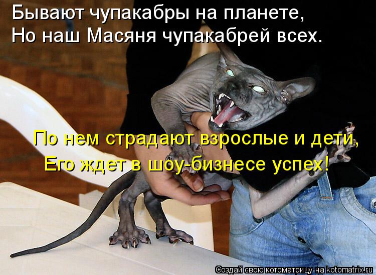 Бывают чупакабры на планете, Но наш Масяня чупакабрей всех. По нем страдают взрослые и дети, Его жд... Котоматрица: Бывают чупакабры на планете, Но наш Масяня чупакабрей всех. По нем страдают взрослые и дети, Его ждет в шоу-бизнесе успех!