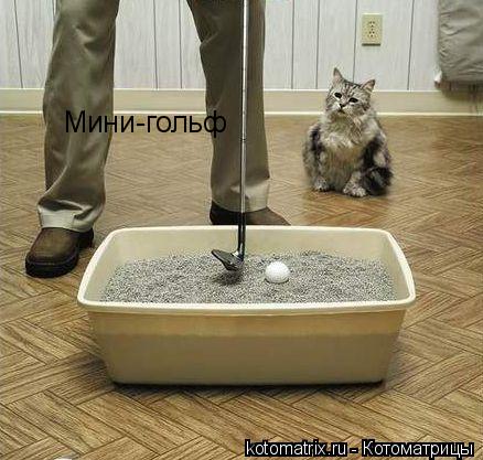 Мини-гольф... Котоматрица: Мини-гольф