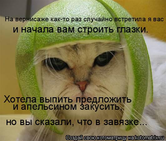 Котоматрица: На вернисаже как-то раз случайно встретила я вас  и начала вам строить глазки. Хотела выпить предложить  но вы сказали, что в завязке... и апел