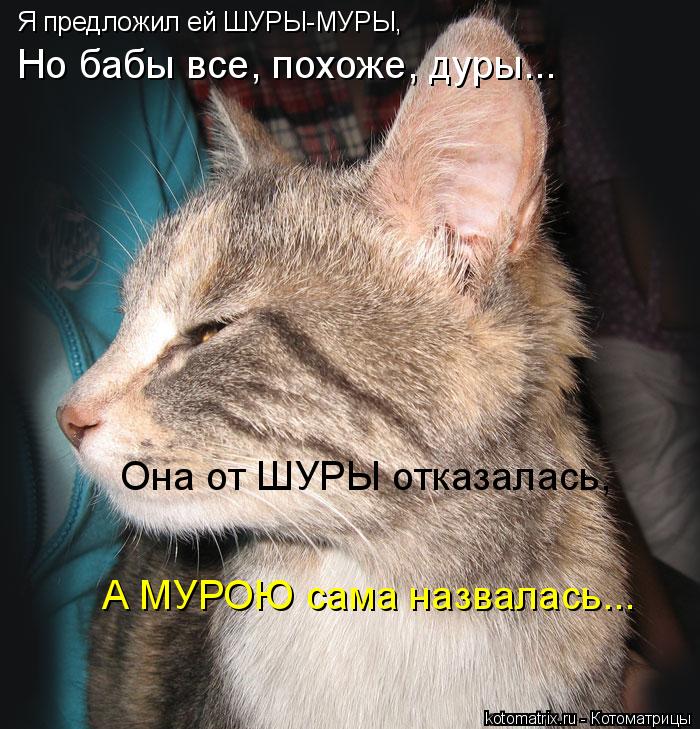 Я предложил ей ШУРЫ-МУРЫ, Но бабы все, похоже, дуры... А МУРОЮ сама назвалась... Она от ШУРЫ отказал... Котоматрица: Я предложил ей ШУРЫ-МУРЫ, Но бабы все, похоже, дуры... А МУРОЮ сама назвалась... Она от ШУРЫ отказалась,