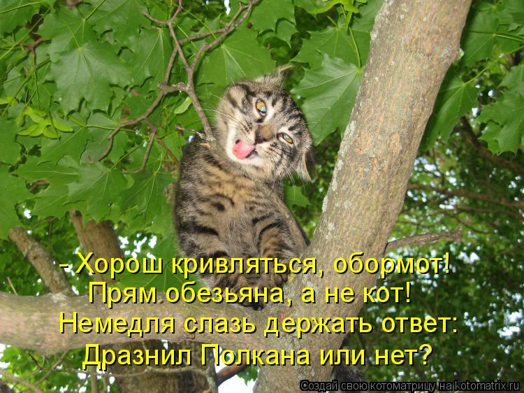 - Хорош кривляться, обормот! Прям обезьяна, а не кот! Немедля слазь держать ответ: Дразнил Полкана и... Котоматрица: - Хорош кривляться, обормот! Прям обезьяна, а не кот! Немедля слазь держать ответ: Дразнил Полкана или нет?