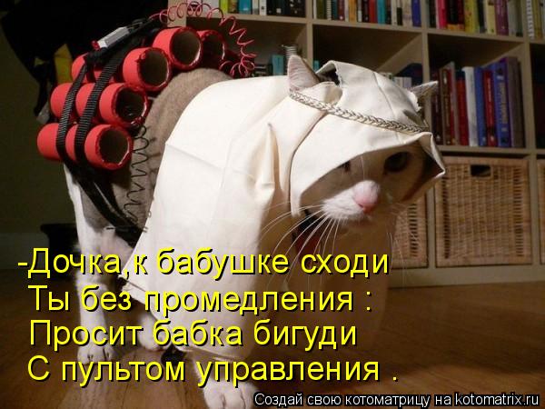 -Дочка,к бабушке сходи Ты без промедления : Просит бабка бигуди С пультом управления .... Котоматрица: -Дочка,к бабушке сходи Ты без промедления : Просит бабка бигуди С пультом управления .