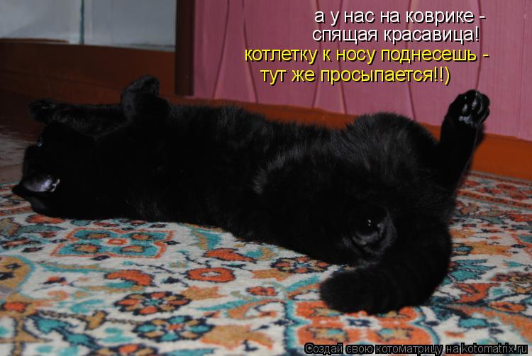 а у нас на коврике - спящая красавица! котлетку к носу поднесешь - тут же просыпается!!)... Котоматрица: а у нас на коврике - спящая красавица! котлетку к носу поднесешь - тут же просыпается!!)