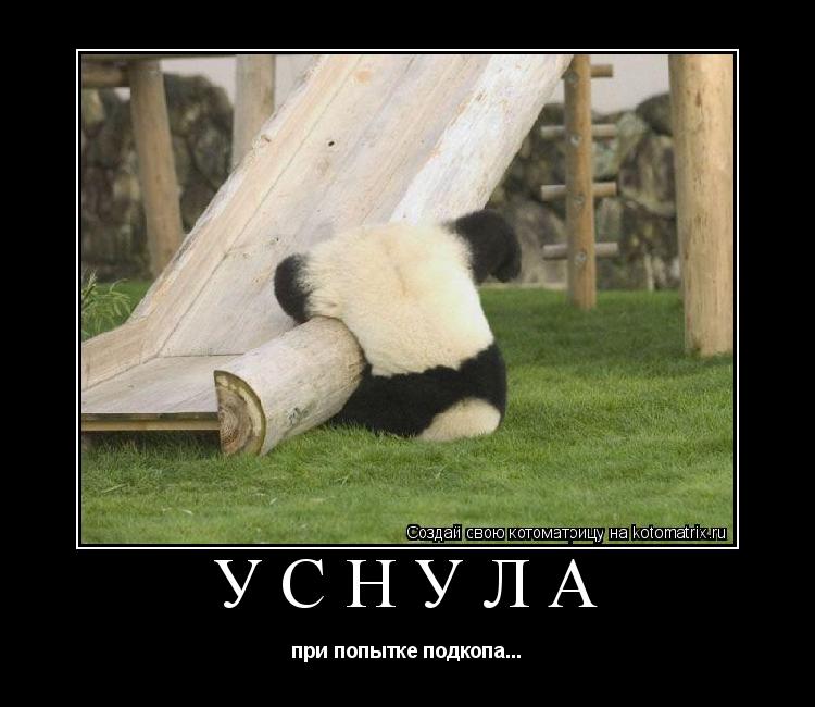 Уснула при попытке подкопа...... Котоматрица: Уснула при попытке подкопа...