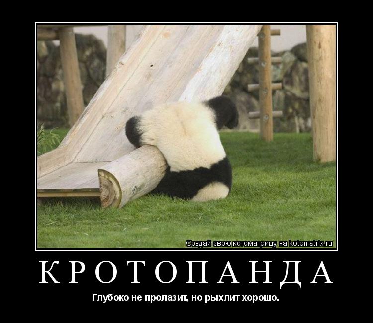 Кротопанда Глубоко не пролазит, но рыхлит хорошо.... Котоматрица: Кротопанда Глубоко не пролазит, но рыхлит хорошо.