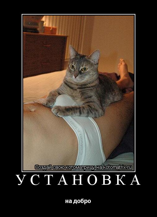 Установка на добро... Котоматрица: Установка на добро