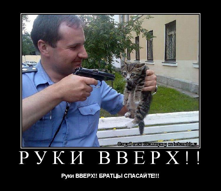 РУКИ ВВЕРХ!! Руки ВВЕРХ!! БРАТЦЫ СПАСАЙТЕ!!!... Котоматрица: РУКИ ВВЕРХ!! Руки ВВЕРХ!! БРАТЦЫ СПАСАЙТЕ!!!