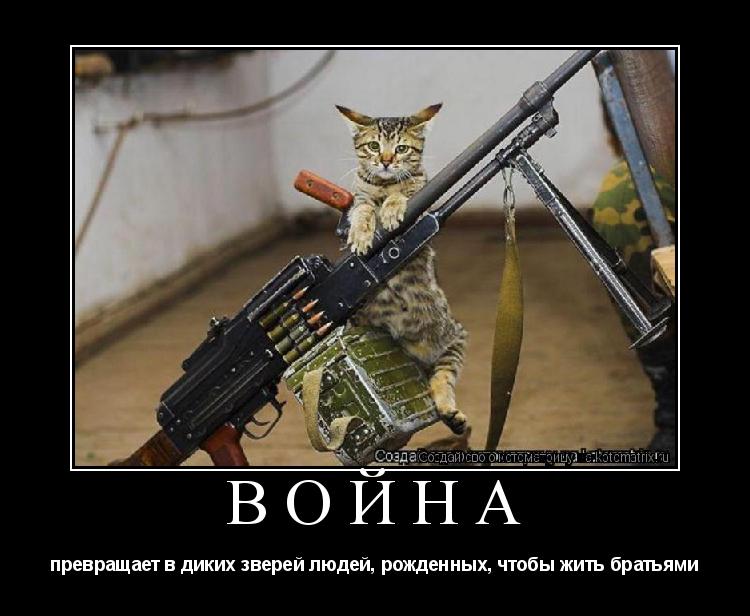Котоматрица: ВОЙНА превращает в диких зверей людей, рожденных, чтобы жить братьями