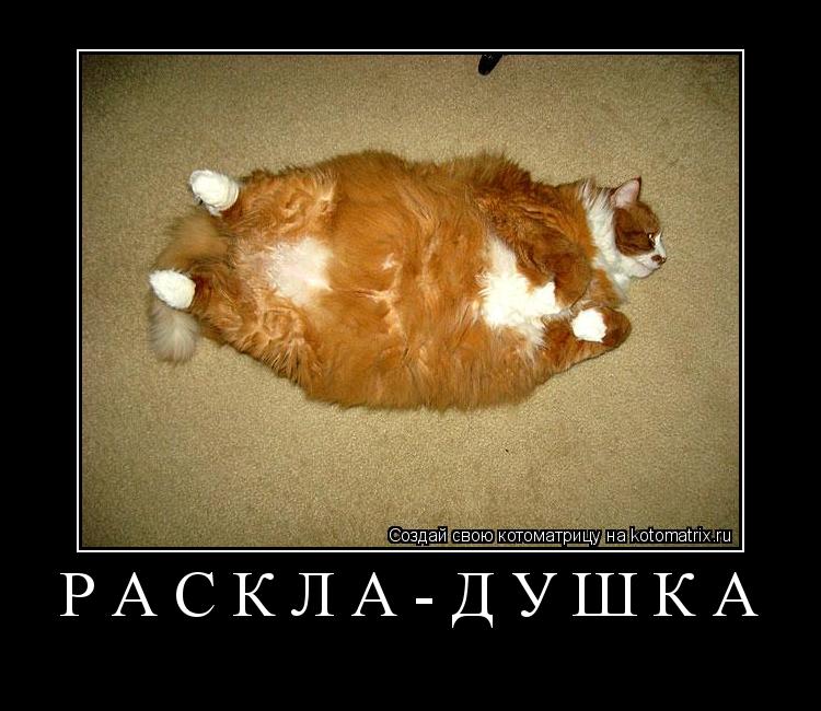 раскла-душка ... Котоматрица: раскла-душка