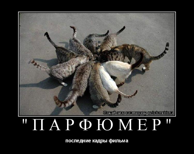 "ПАРФЮМЕР" последние кадры фильма... Котоматрица: "ПАРФЮМЕР" последние кадры фильма