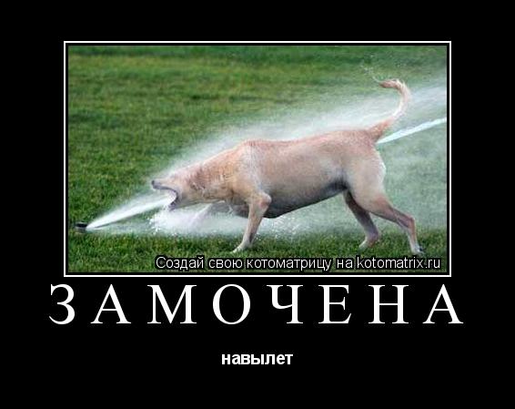 Котоматрица: ЗАМОЧЕНА навылет