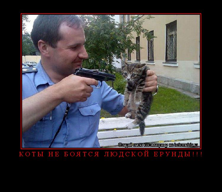 Котоматрица: Коты не боятся людской ерунды!!! 