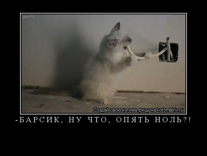 -Барсик, ну что, опять ноль?! ... Котоматрица: -Барсик, ну что, опять ноль?!