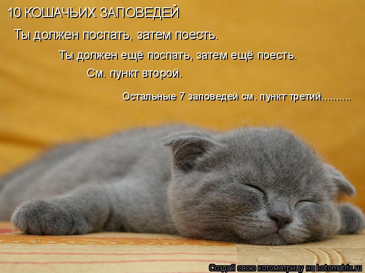 Ты должен поспать, затем поесть. Ты должен ещё поспать, затем ещё поесть. См. пункт второй. 10 КОШАЧ... Котоматрица: Ты должен поспать, затем поесть. Ты должен ещё поспать, затем ещё поесть. См. пункт второй. 10 КОШАЧЬИХ ЗАПОВЕДЕЙ Остальные 7 заповедей см. пу