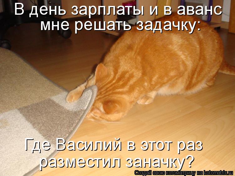 В день зарплаты и в аванс мне решать задачку: Где Василий в этот раз разместил заначку?... Котоматрица: В день зарплаты и в аванс мне решать задачку: Где Василий в этот раз разместил заначку?