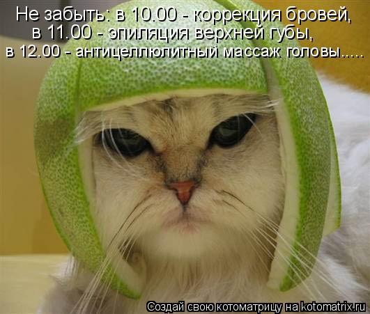 Не забыть: в 10.00 - коррекция бровей, в 11.00 - эпиляция верхней губы, в 12.00 - антицеллюлитный мас... Котоматрица: Не забыть: в 10.00 - коррекция бровей, в 11.00 - эпиляция верхней губы, в 12.00 - антицеллюлитный массаж головы.....