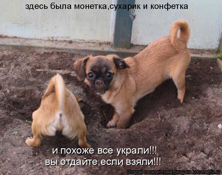 здесь была монетка,сухарик и конфетка и похоже все украли!!! вы отдайте,если взяли!!!... Котоматрица: здесь была монетка,сухарик и конфетка и похоже все украли!!! вы отдайте,если взяли!!!