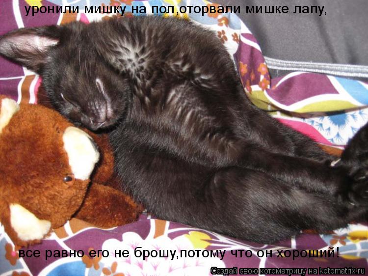 уронили мишку на пол,оторвали мишке лапу, все равно его не брошу,потому что он хороший!... Котоматрица: уронили мишку на пол,оторвали мишке лапу, все равно его не брошу,потому что он хороший!