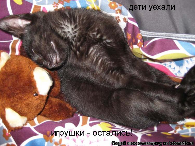 дети уехали игрушки - остались!... Котоматрица: дети уехали игрушки - остались!