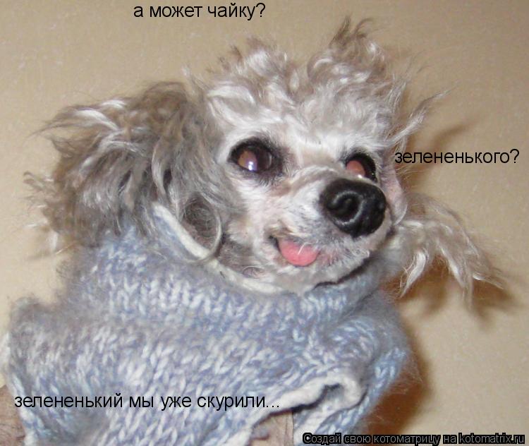 а может чайку? зелененького? зелененький мы уже скурили...... Котоматрица: а может чайку? зелененького? зелененький мы уже скурили...
