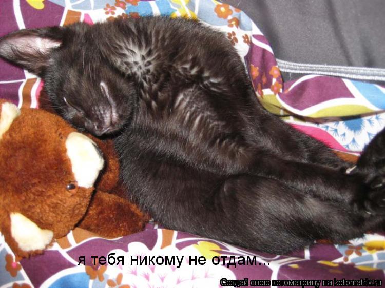 я тебя никому не отдам...... Котоматрица: я тебя никому не отдам...