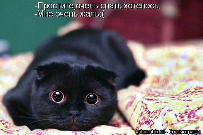 -Простите,очень спать хотелось. -Простите,очень спать хотелось. -Простите,очень спать хотелось. -Прос... Котоматрица: -Простите,очень спать хотелось. -Простите,очень спать хотелось. -Простите,очень спать хотелось. -Простите,очень спать хотелось. -Мне очень жа