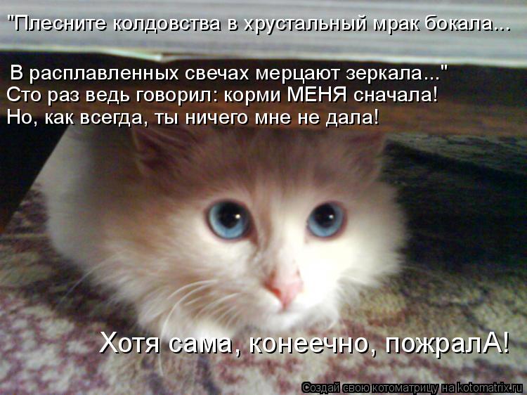 Котоматрица: "Плесните колдовства в хрустальный мрак бокала... В расплавленных свечах мерцают зеркала..." Сто раз ведь говорил: корми МЕНЯ сначала! Но, как 