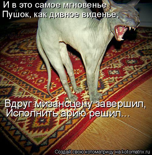 И в это самое мгновенье Пушок, как дивное виденье, Вдруг мизансцену завершил, Исполнить арию решил.... Котоматрица: И в это самое мгновенье Пушок, как дивное виденье, Вдруг мизансцену завершил, Исполнить арию решил...