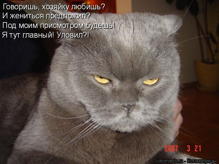 Говоришь, хозяйку любишь? И жениться предложил? Под моим присмотром будешь! Я тут главный! Уловил?!... Котоматрица: Говоришь, хозяйку любишь? И жениться предложил? Под моим присмотром будешь! Я тут главный! Уловил?!