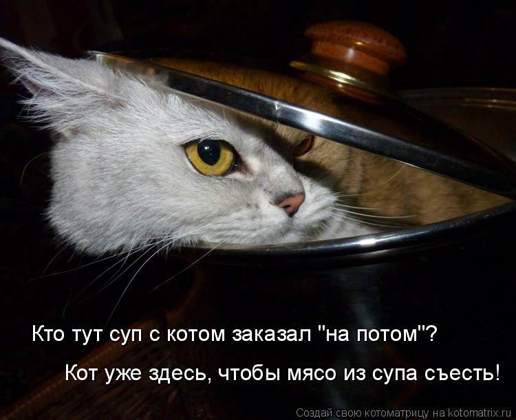 Кто тут суп с котом заказал "на потом"? Кот уже здесь, чтобы мясо из супа съесть!... Котоматрица: Кто тут суп с котом заказал "на потом"? Кот уже здесь, чтобы мясо из супа съесть!