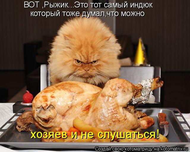 ВОТ ,Рыжик...Это тот самый индюк который тоже думал,что можно хозяев и не слушаться!... Котоматрица: ВОТ ,Рыжик...Это тот самый индюк который тоже думал,что можно хозяев и не слушаться!