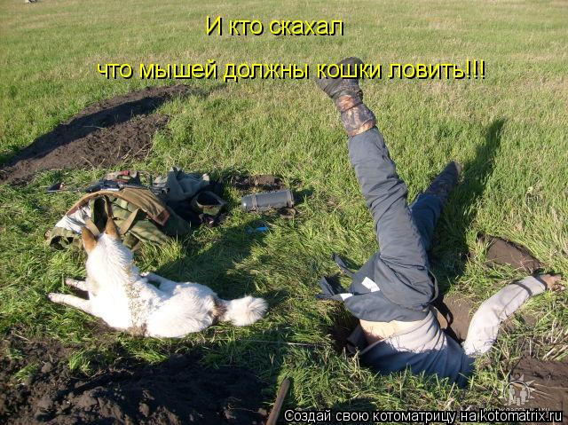 И кто скахал что мышей должны кошки ловить!!!... Котоматрица: И кто скахал что мышей должны кошки ловить!!!