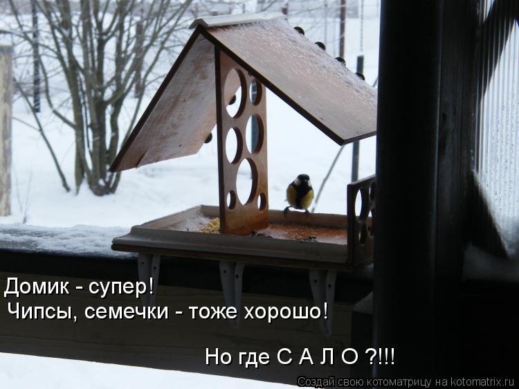 Котоматрица: Домик - супер! Чипсы, семечки - тоже хорошо! Но где С А Л О ?!!!