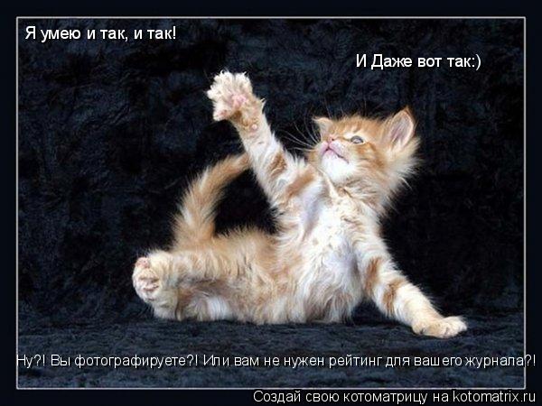 Я умею и так, и так! И Даже вот так:) Ну?! Вы фотографируете?! Или вам не нужен рейтинг для вашего жу... Котоматрица: Я умею и так, и так! И Даже вот так:) Ну?! Вы фотографируете?! Или вам не нужен рейтинг для вашего журнала?!