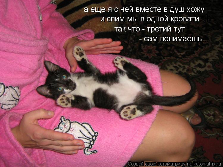 Котоматрица: а еще я с ней вместе в душ хожу так что - третий тут  - сам понимаешь... и спим мы в одной кровати...!