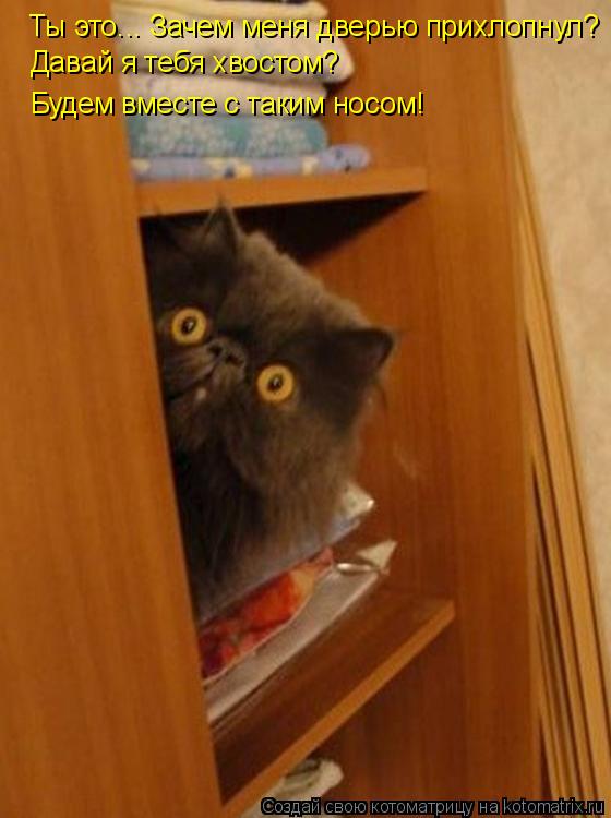 Котоматрица: Ты это... Зачем меня дверью прихлопнул? Давай я тебя хвостом?  Будем вместе с таким носом!