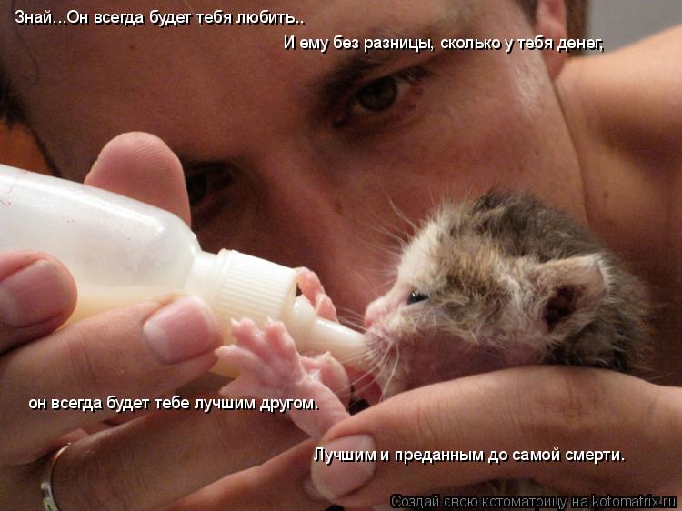 Котоматрица: Знай...Он всегда будет тебя любить.. И ему без разницы, сколько у тебя денег, он всегда будет тебе лучшим другом. Лучшим и преданным до самой с