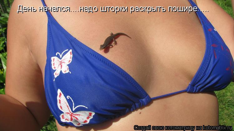 День начался....надо шторки раскрыть пошире........ Котоматрица: День начался....надо шторки раскрыть пошире.....
