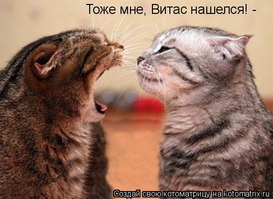 Тоже мне, Витас нашелся! -... Котоматрица: Тоже мне, Витас нашелся! -