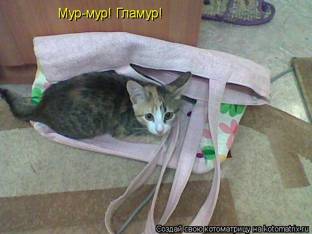 Мур-мур! Гламур!... Котоматрица: Мур-мур! Гламур!