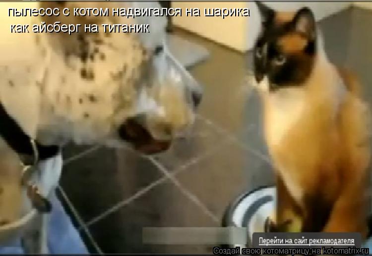 пылесос с котом надвигался на шарика как айсберг на титаник... Котоматрица: пылесос с котом надвигался на шарика как айсберг на титаник