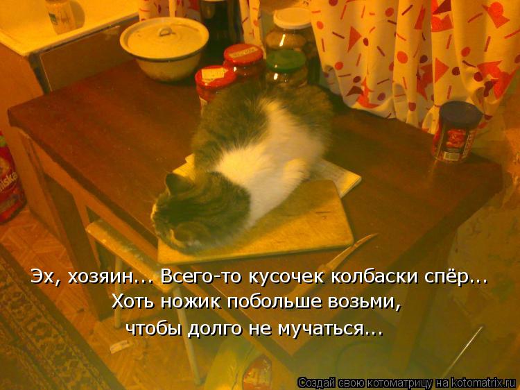 Эх, хозяин... Всего-то кусочек колбаски спёр... Хоть ножик побольше возьми, что бы долго не мучаться.... Котоматрица: Эх, хозяин... Всего-то кусочек колбаски спёр... Хоть ножик побольше возьми, что бы долго не мучаться.... Эх, хозяин... Всего-то кусочек колбаски с
