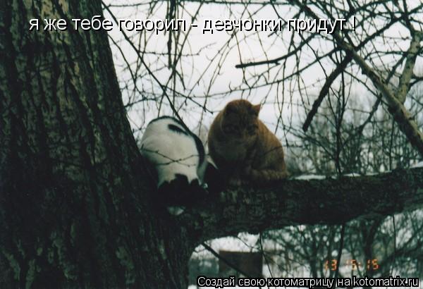 я же тебе говорил - девчонки придут !... Котоматрица: я же тебе говорил - девчонки придут !